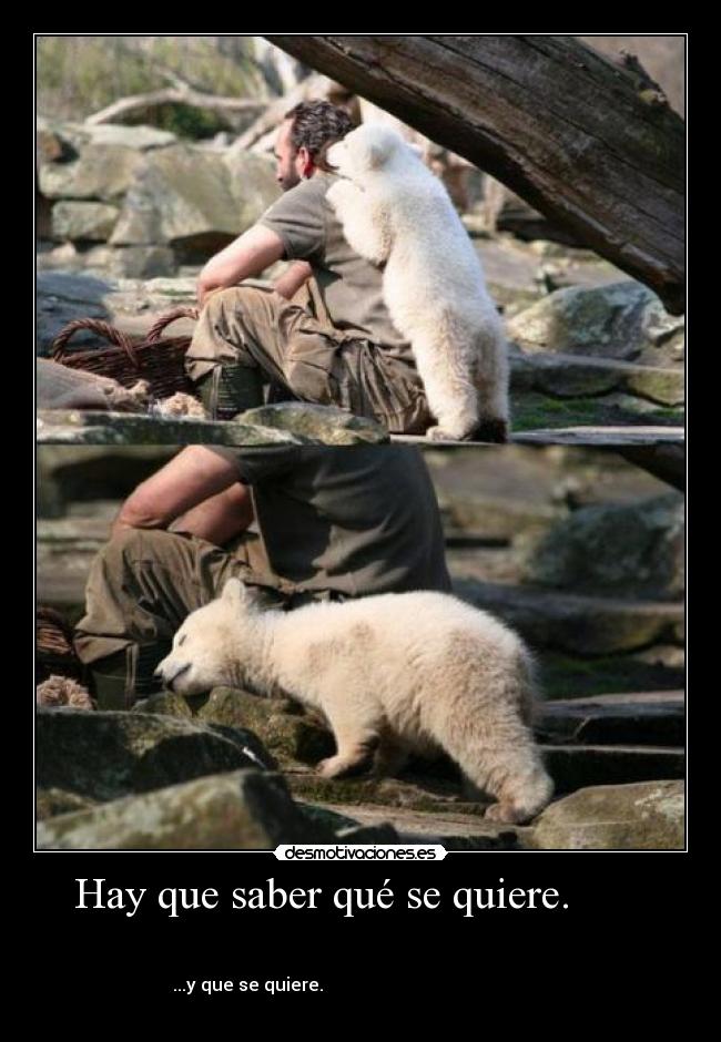 Hay que saber qué se quiere.        - 