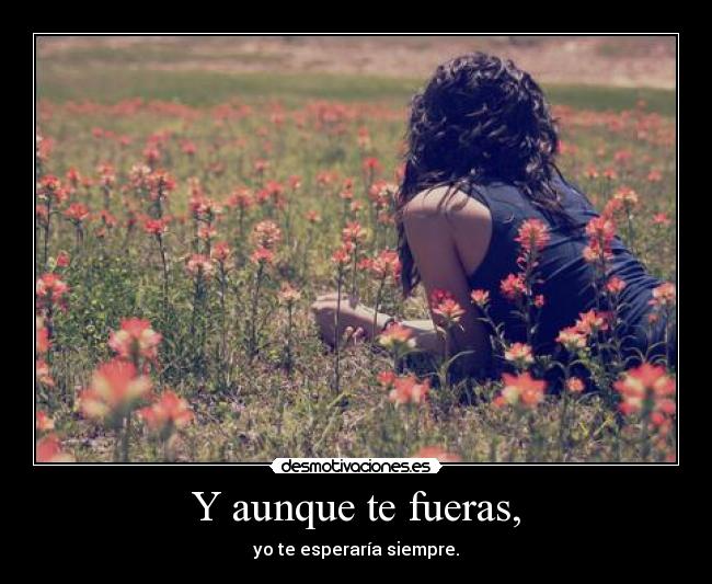 Y aunque te fueras, - yo te esperaría siempre.