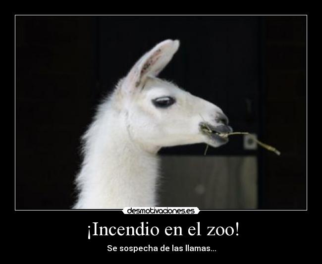 ¡Incendio en el zoo! - Se sospecha de las llamas...