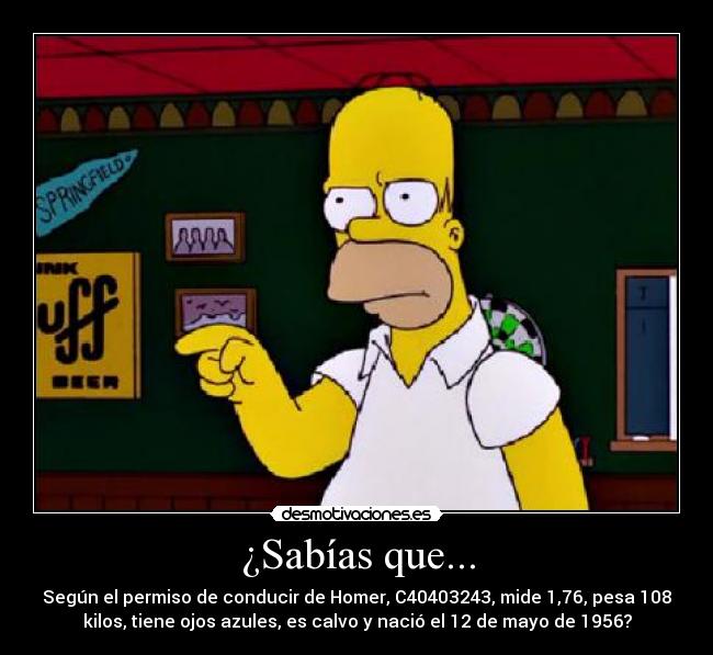 ¿Sabías que... - Según el permiso de conducir de Homer, C40403243, mide 1,76, pesa 108
kilos, tiene ojos azules, es calvo y nació el 12 de mayo de 1956?