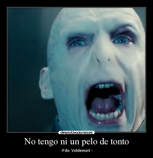 No tengo ni un pelo de tonto - -Fdo. Voldemort -