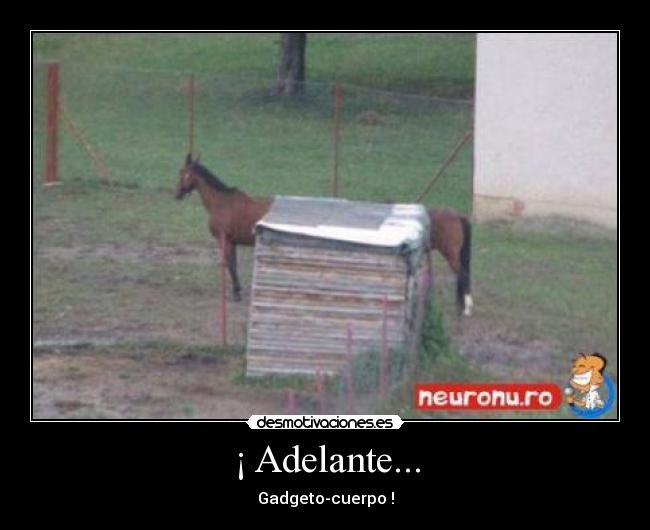 ¡ Adelante... -