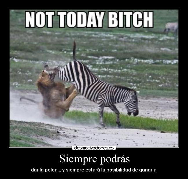 Siempre podrás - dar la pelea... y siempre estará la posibilidad de ganarla.