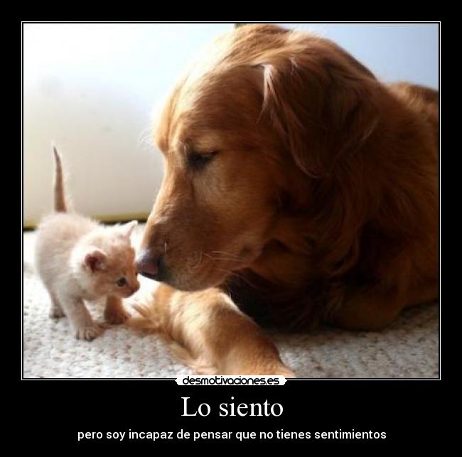 Lo siento - pero soy incapaz de pensar que no tienes sentimientos