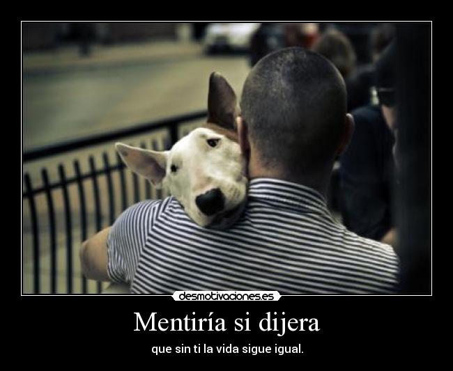 Mentiría si dijera - 