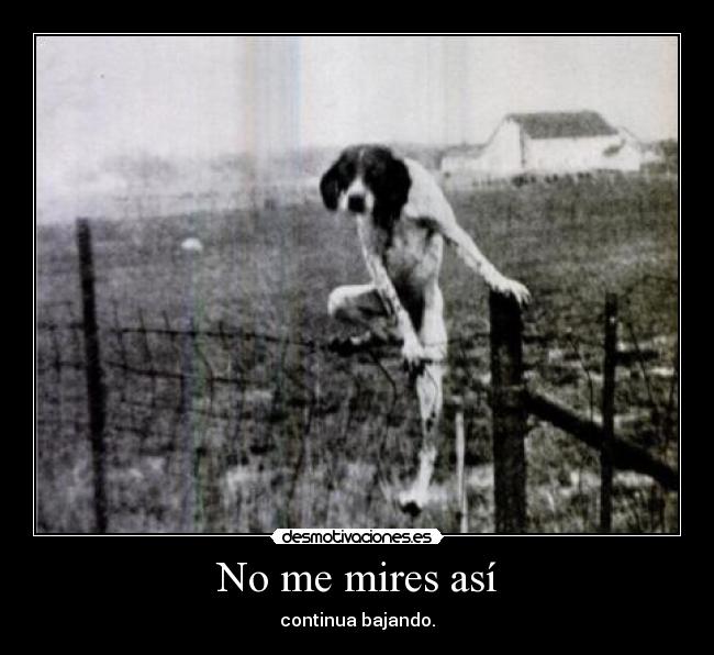 No me mires así -