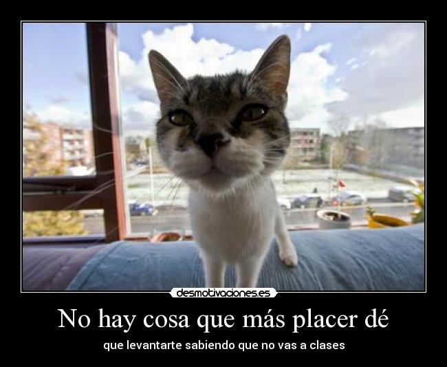 No hay cosa que más placer dé - 