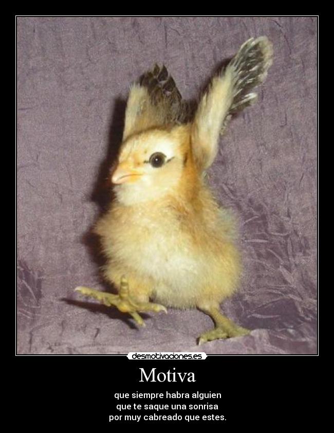 Motiva - que siempre habra alguien
que te saque una sonrisa
por muy cabreado que estes.