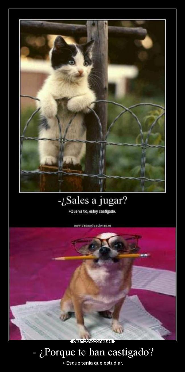 - ¿Porque te han castigado? - 
