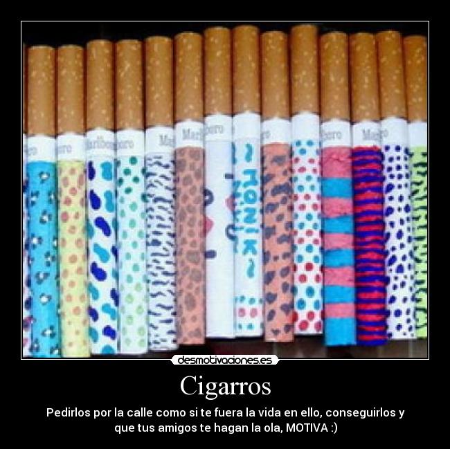 Cigarros - 