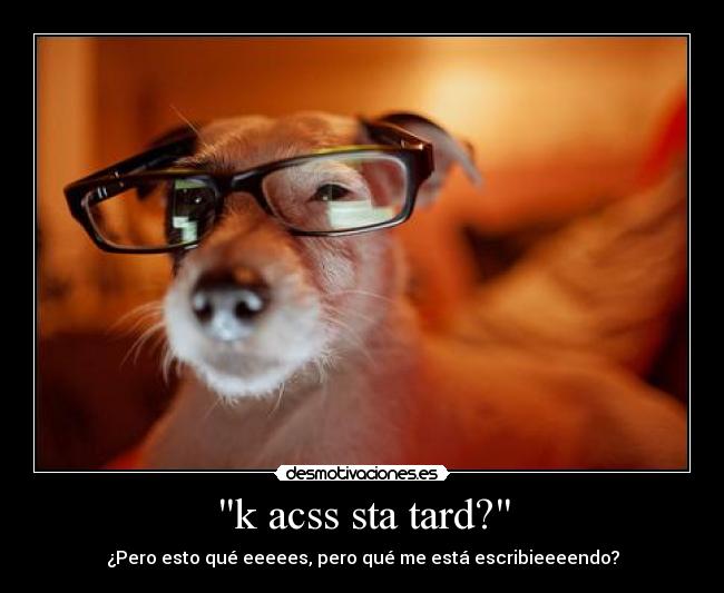 k acss sta tard? - ¿Pero esto qué eeeees, pero qué me está escribieeeendo?