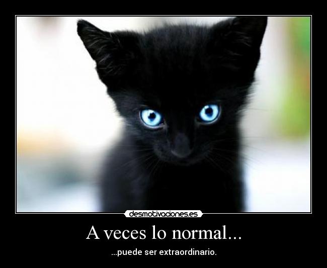 A veces lo normal... - ...puede ser extraordinario.
