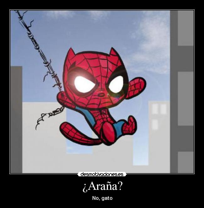 ¿Araña? - No, gato