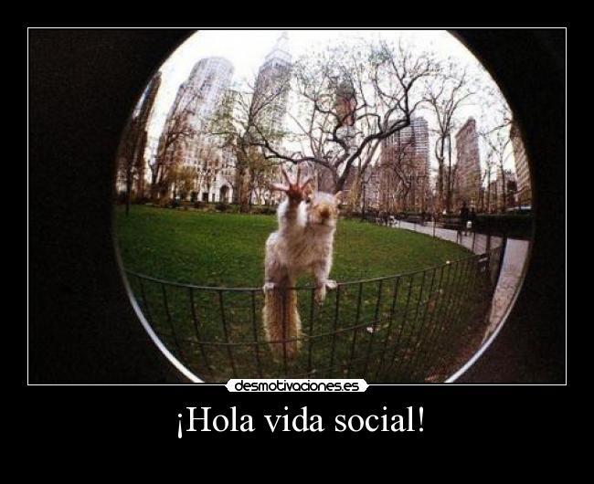 ¡Hola vida social! -
