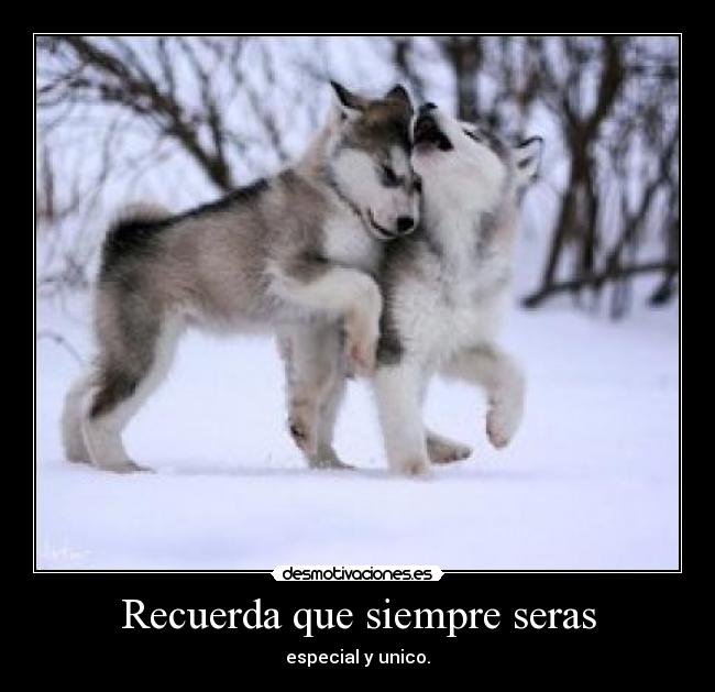 Recuerda que siempre seras - 