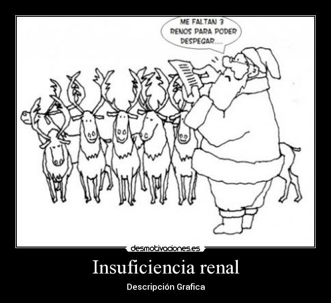 Insuficiencia renal - Descripción Grafica