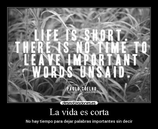 La vida es corta -