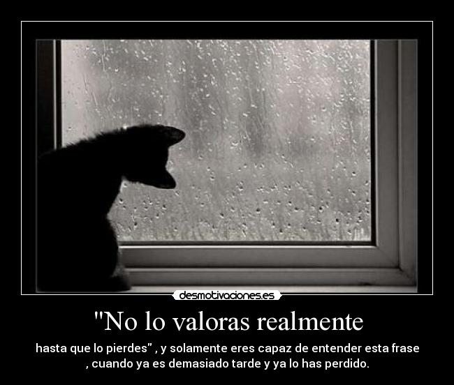 No lo valoras realmente - 