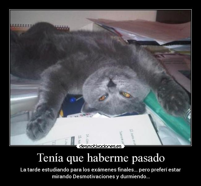 Tenía que haberme pasado - 