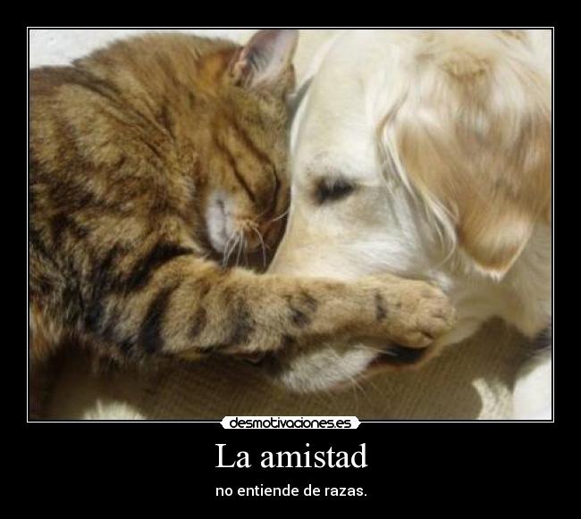 La amistad - 