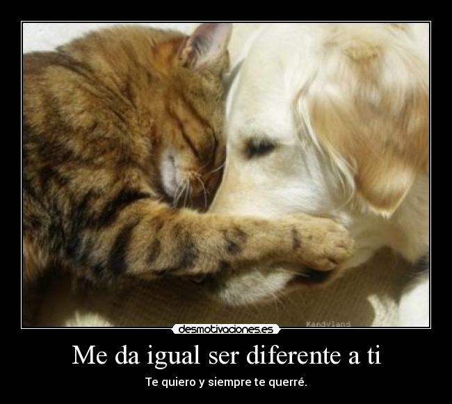Me da igual ser diferente a ti - Te quiero y siempre te querré.