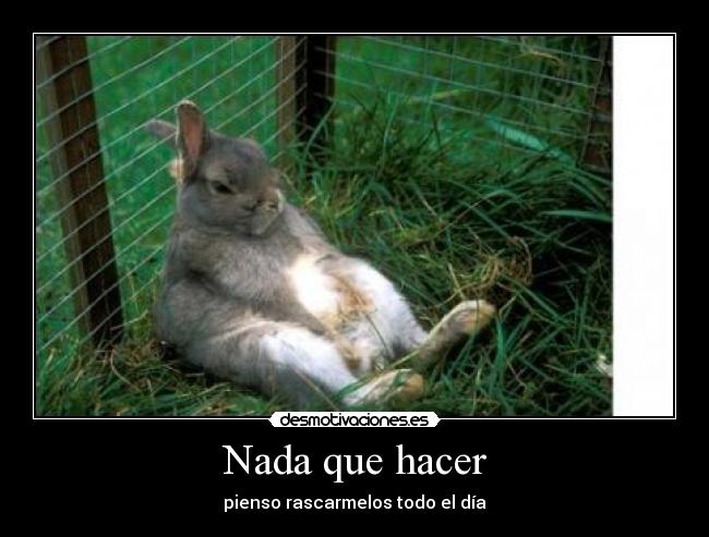 Nada que hacer - 