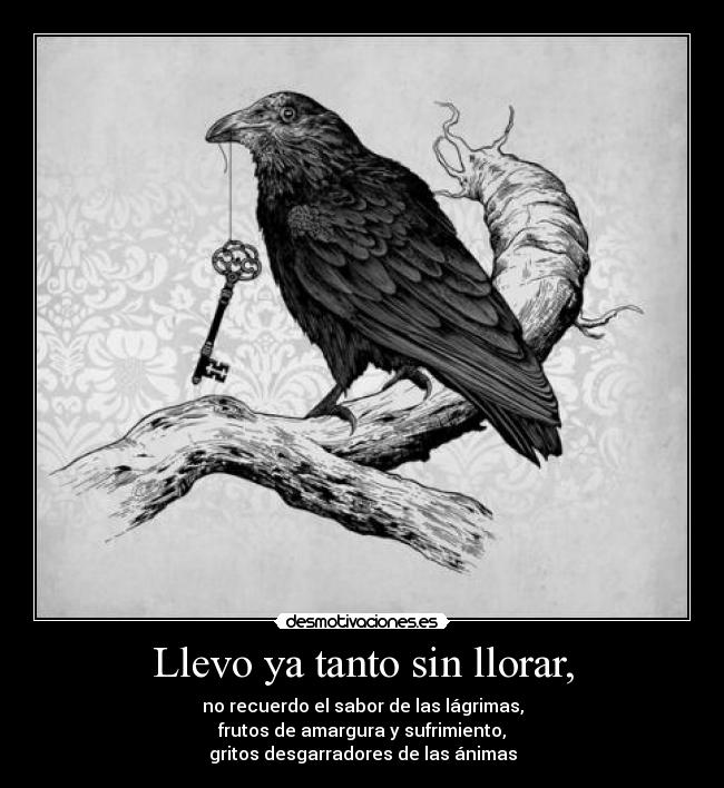Llevo ya tanto sin llorar, - 