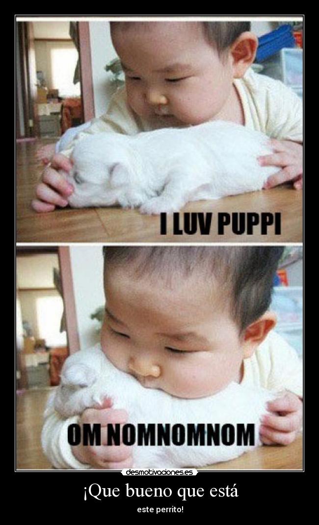 ¡Que bueno que está - este perrito!