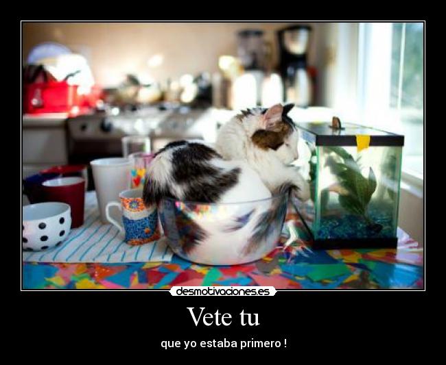 carteles animales graciosos desmotivaciones