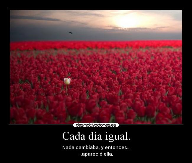 Cada día igual. - Nada cambiaba, y entonces...
..apareció ella.