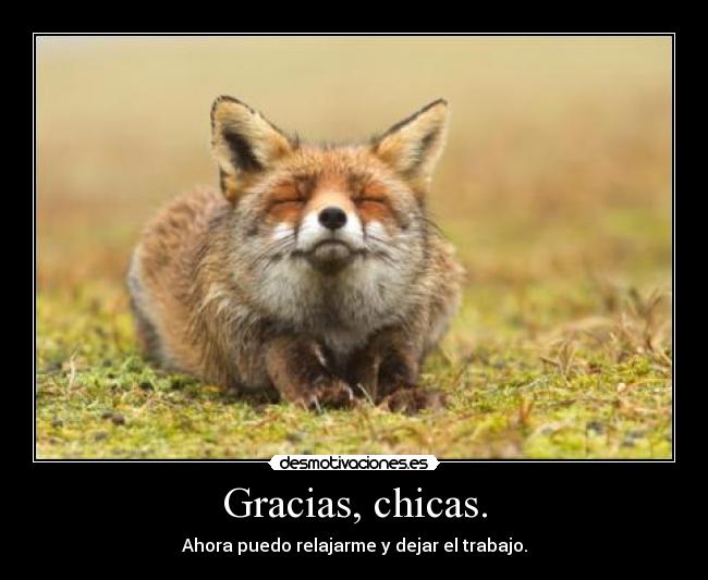 carteles sociedad zorras gracias relajar dejar trabajo desmotivaciones
