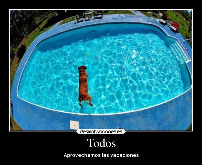 Todos - Aprovechamos las vacaciones