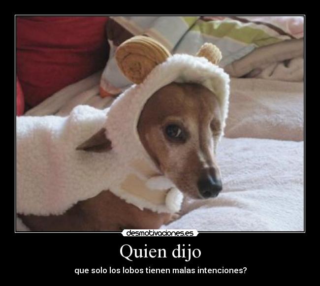 Quien dijo -