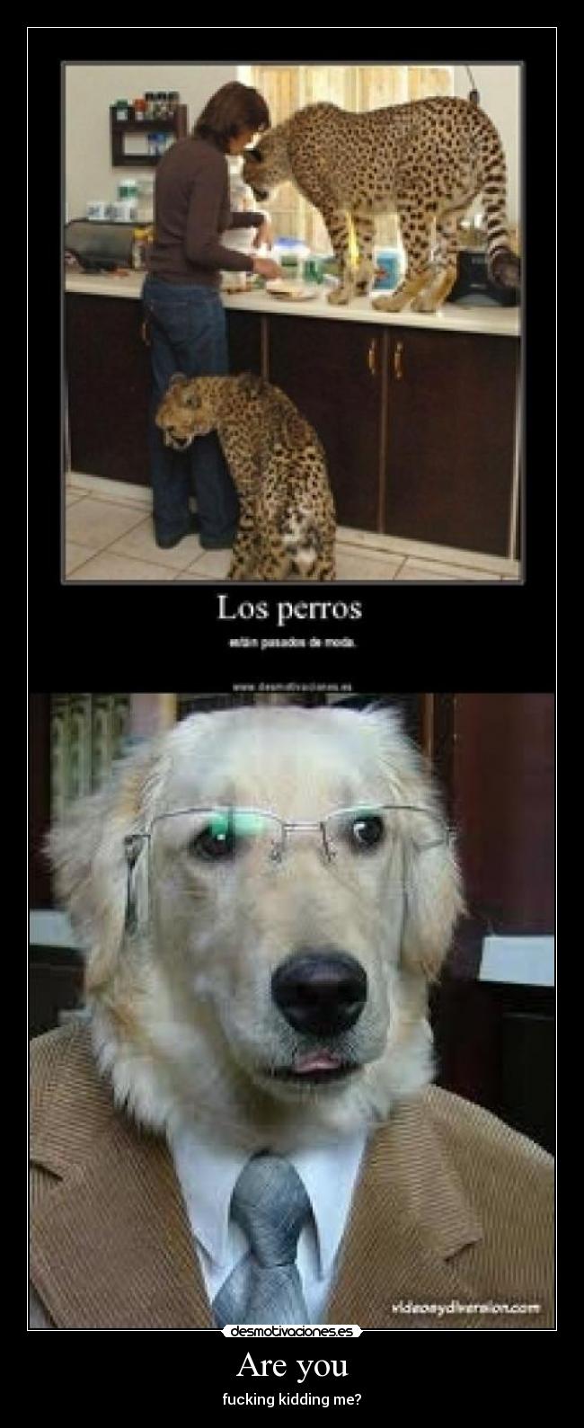 Are you - fucking kidding me?