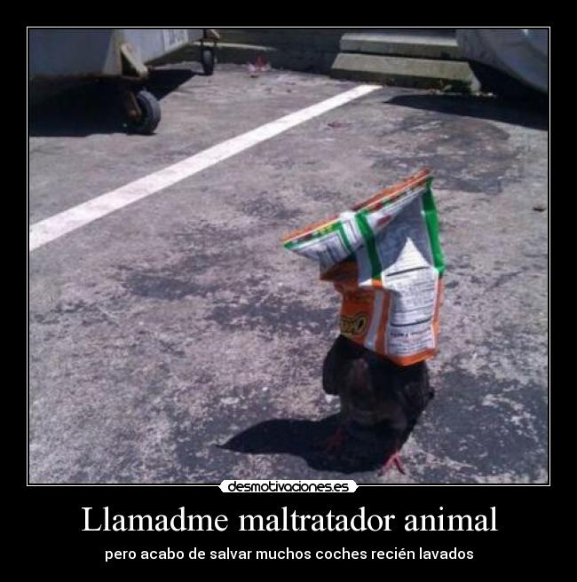 Llamadme maltratador animal - 