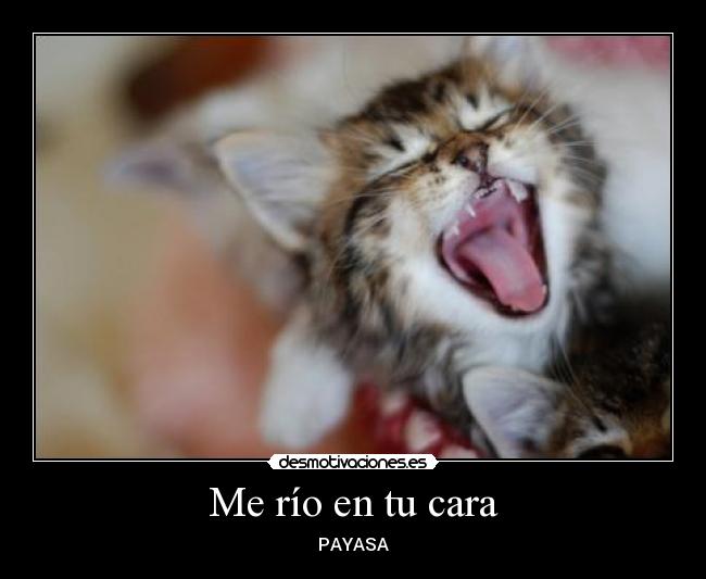 Me río en tu cara -
