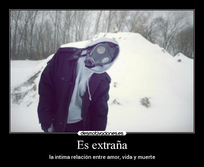 Es extraña - la intima relación entre amor, vida y muerte