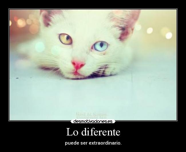 Lo diferente - puede ser extraordinario.