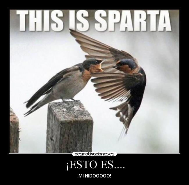 ¡ESTO ES.... - MI NIDOOOOO!