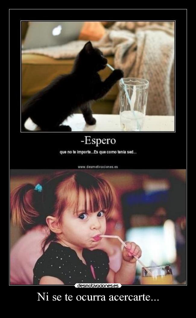 Ni se te ocurra acercarte... -