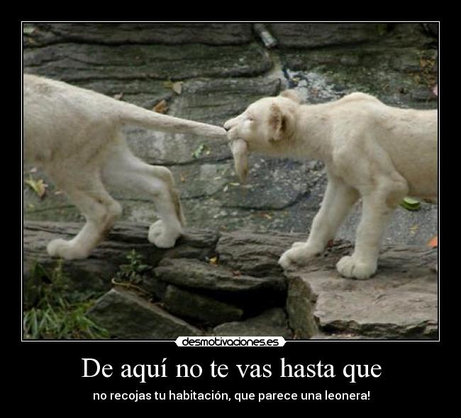 De aquí no te vas hasta que - 