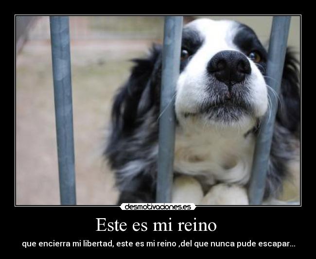 Este es mi reino  - 