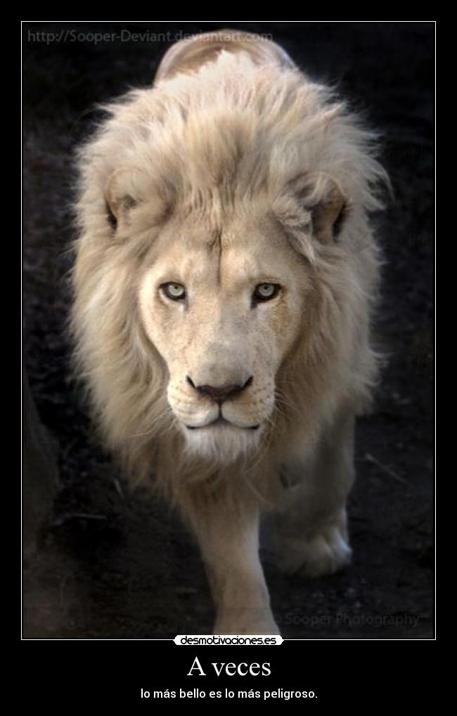 carteles veces desmotivaciones