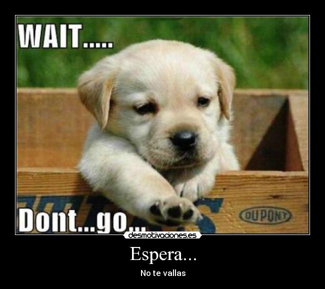 Espera... - No te vallas