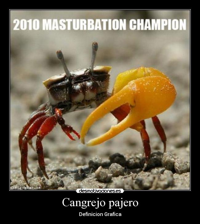 Cangrejo pajero - Definicion Grafica