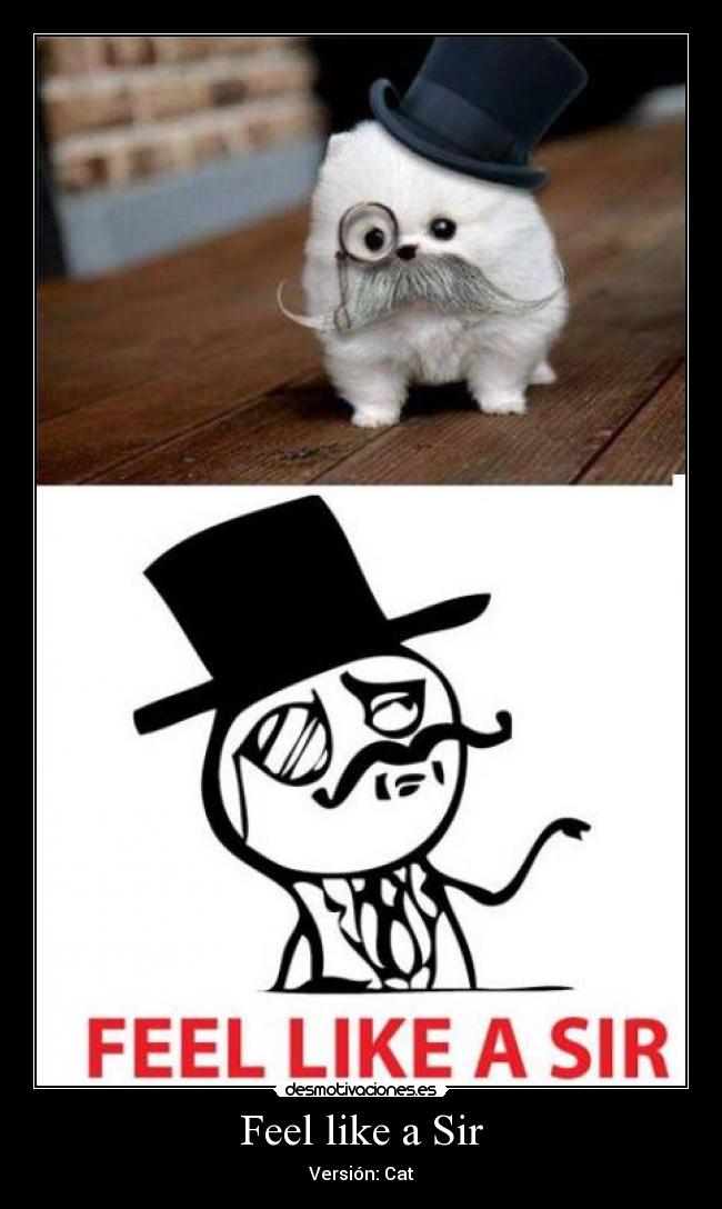 Feel like a Sir - Versión: Cat