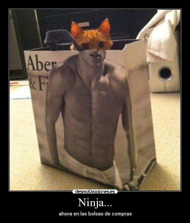 Ninja... - ahora en las bolsas de compras