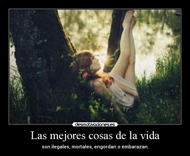 Las mejores cosas de la vida - son ilegales, mortales, engordan o embarazan.