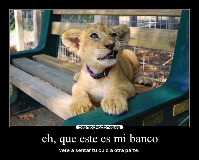 eh, que este es mi banco -