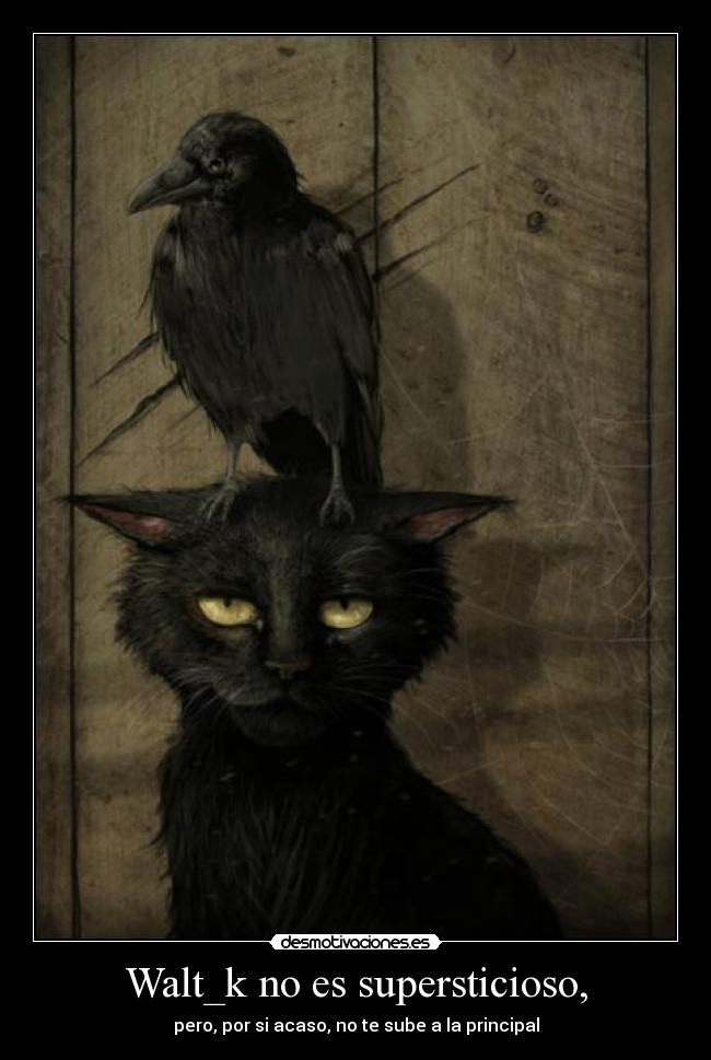 Walt_k no es supersticioso, - pero, por si acaso, no te sube a la principal